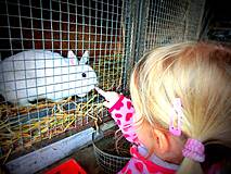 Kinderparadies im Doblerhof