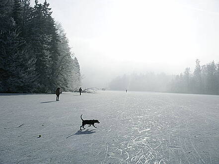 Langbürgner See im Winter